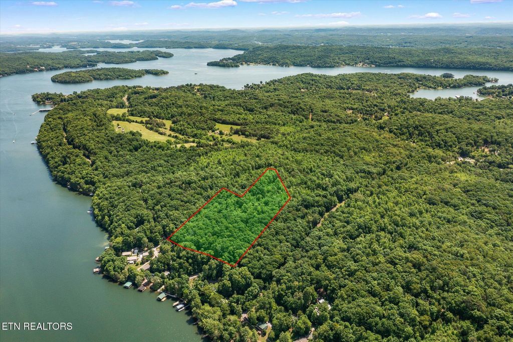 Photo of 245 Clearwater Drive, Spring City, TN 37381 (MLS # 1299342)