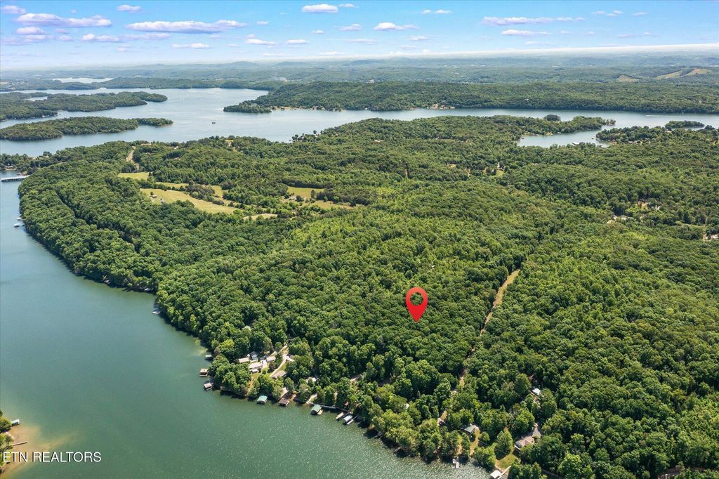 Photo of 245 Clearwater Drive, Spring City, TN 37381 (MLS # 1299342)