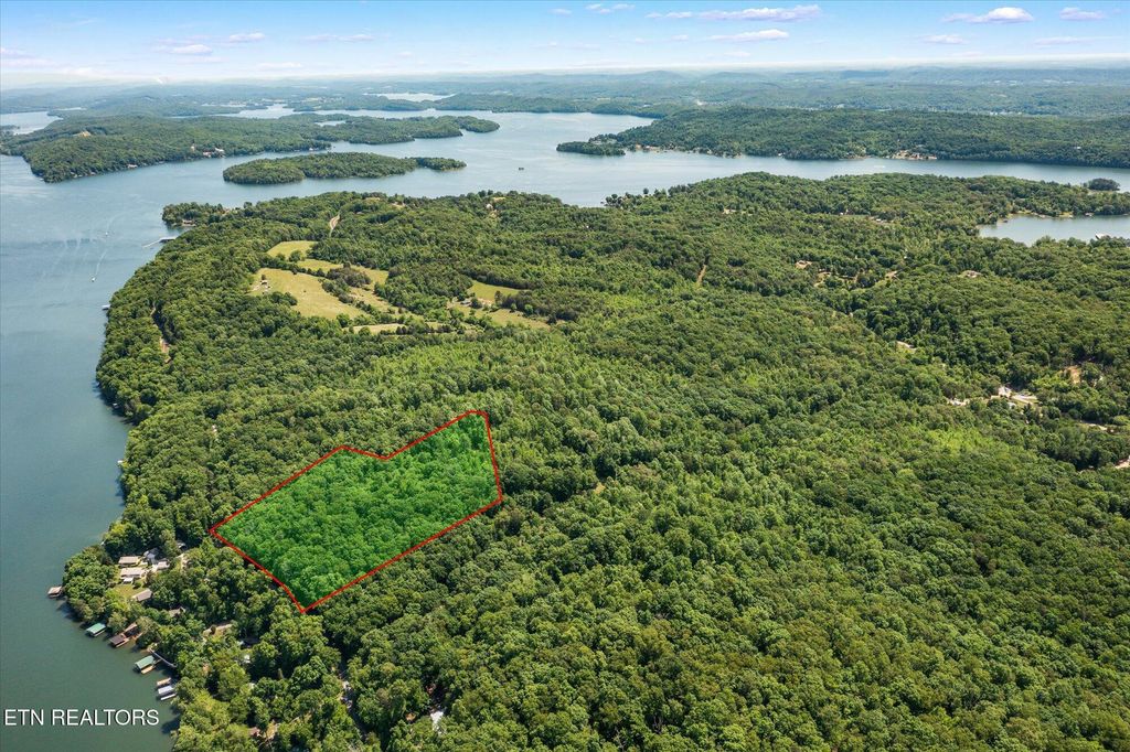 Photo of 245 Clearwater Drive, Spring City, TN 37381 (MLS # 1299342)