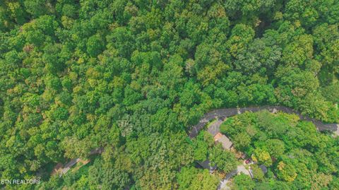 Tiny photo for Low Gap Rd, Gatlinburg, TN 37738 (MLS # 1314980)