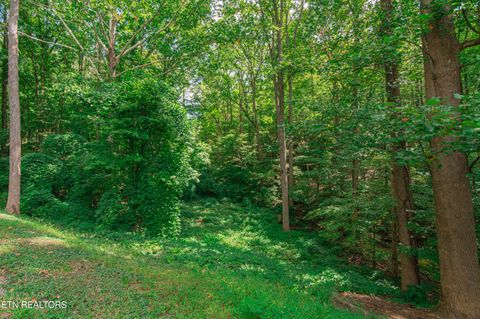 Tiny photo for Low Gap Rd, Gatlinburg, TN 37738 (MLS # 1314980)