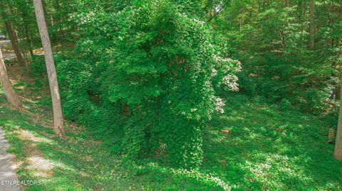 Tiny photo for Low Gap Rd, Gatlinburg, TN 37738 (MLS # 1314980)