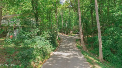 Tiny photo for Low Gap Rd, Gatlinburg, TN 37738 (MLS # 1314980)