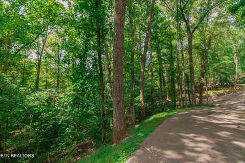 Tiny photo for Low Gap Rd, Gatlinburg, TN 37738 (MLS # 1314980)