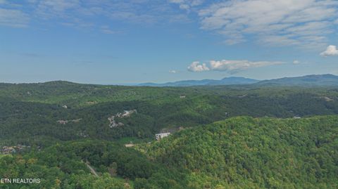 Tiny photo for Low Gap Rd, Gatlinburg, TN 37738 (MLS # 1314980)
