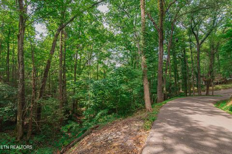 Tiny photo for Low Gap Rd, Gatlinburg, TN 37738 (MLS # 1314980)