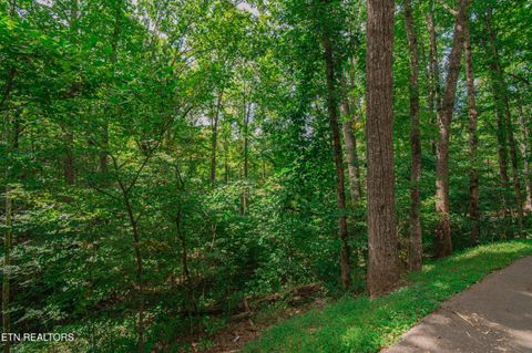 Tiny photo for Low Gap Rd, Gatlinburg, TN 37738 (MLS # 1314980)