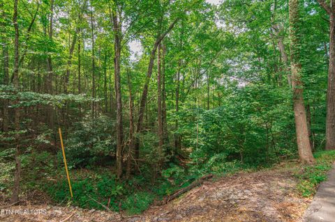 Tiny photo for Low Gap Rd, Gatlinburg, TN 37738 (MLS # 1314980)