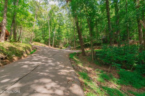 Tiny photo for Low Gap Rd, Gatlinburg, TN 37738 (MLS # 1314980)