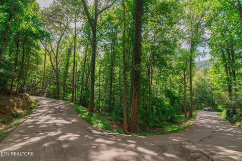 Tiny photo for Low Gap Rd, Gatlinburg, TN 37738 (MLS # 1314980)