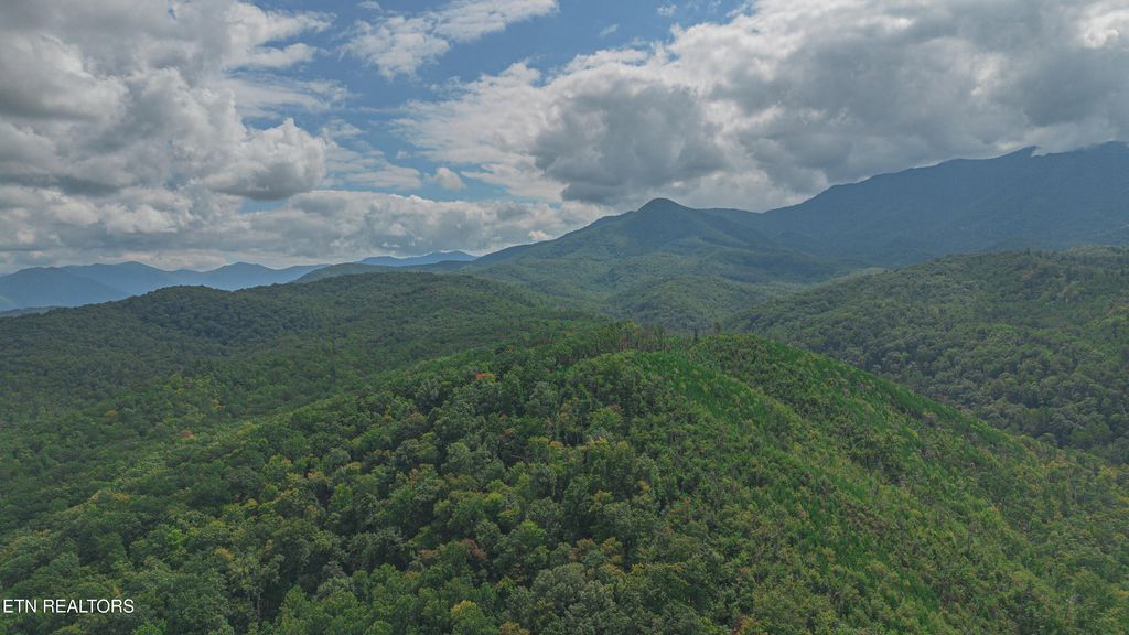 Photo of Low Gap Rd, Gatlinburg, TN 37738 (MLS # 1314980)
