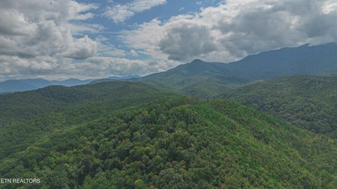Tiny photo for Low Gap Rd, Gatlinburg, TN 37738 (MLS # 1314980)