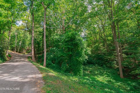 Tiny photo for Low Gap Rd, Gatlinburg, TN 37738 (MLS # 1314980)