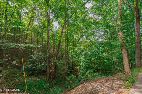 Tiny photo for Low Gap Rd, Gatlinburg, TN 37738 (MLS # 1314980)
