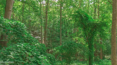 Tiny photo for Low Gap Rd, Gatlinburg, TN 37738 (MLS # 1314980)