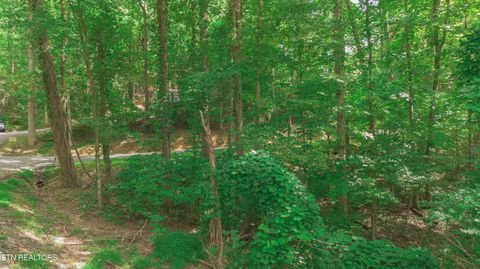 Tiny photo for Low Gap Rd, Gatlinburg, TN 37738 (MLS # 1314980)