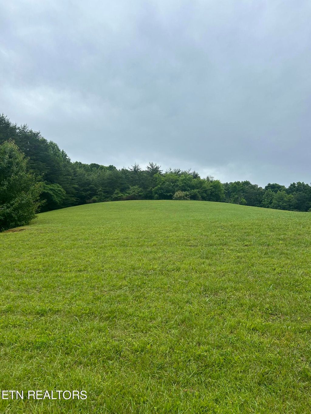 Photo of Morning Dew Drive, Friendsville, TN 37737 (MLS # 1266588)