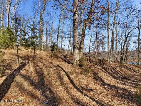 Tiny photo for 339 Chelaque Way, Mooresburg, TN 37811 (MLS # 1329537)