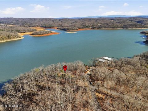 Tiny photo for 339 Chelaque Way, Mooresburg, TN 37811 (MLS # 1329537)