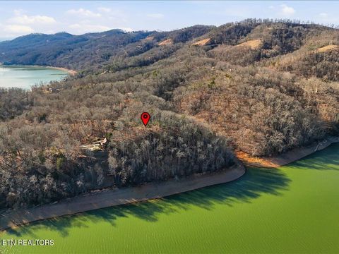 Tiny photo for 339 Chelaque Way, Mooresburg, TN 37811 (MLS # 1329537)