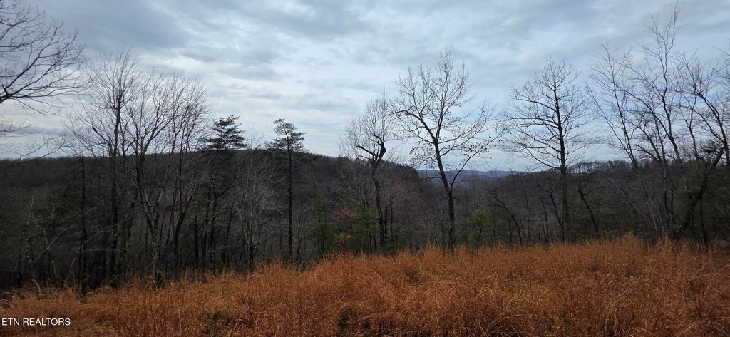 Photo of 794 Eastridge Pass, Monterey, TN 38574 (MLS # 1327165)