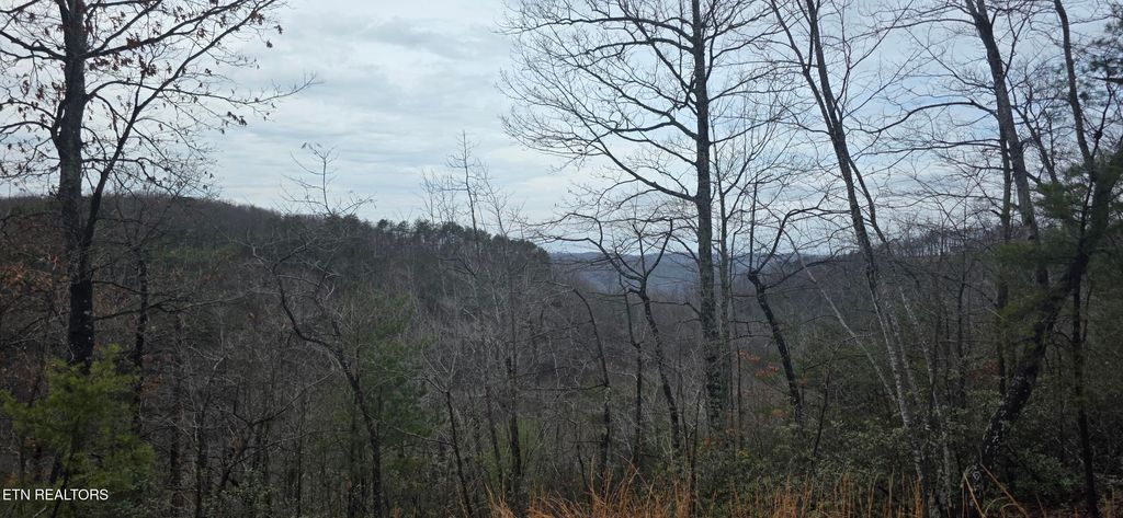 Photo of 794 Eastridge Pass, Monterey, TN 38574 (MLS # 1327165)