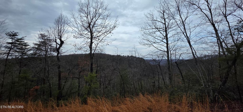 Photo of 794 Eastridge Pass, Monterey, TN 38574 (MLS # 1327165)