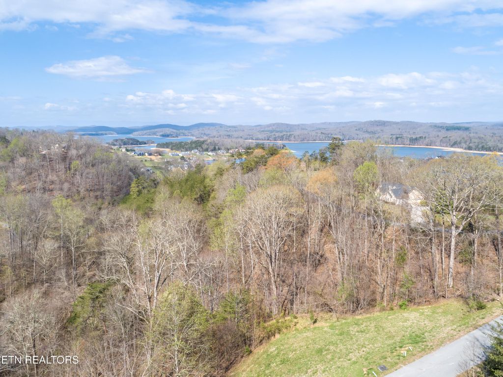 Photo of 419 Larayne Hollow Rd, Sharps Chapel, TN 37866 (MLS # 1335316)