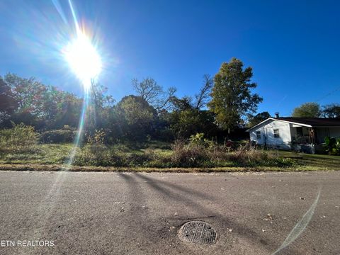 Photo of 3856 Cluster St, Knoxville, TN 37914 (MLS # 1319044)