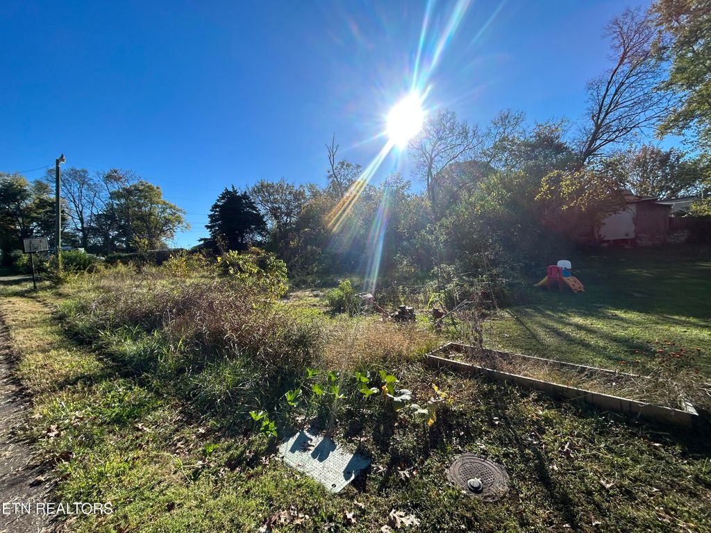 Photo of 3856 Cluster St, Knoxville, TN 37914 (MLS # 1319044)