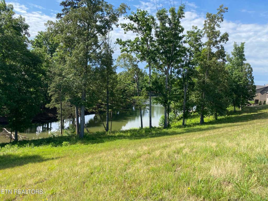 Photo of 161 Careen Court, Lenoir City, TN 37772 (MLS # 1343106)