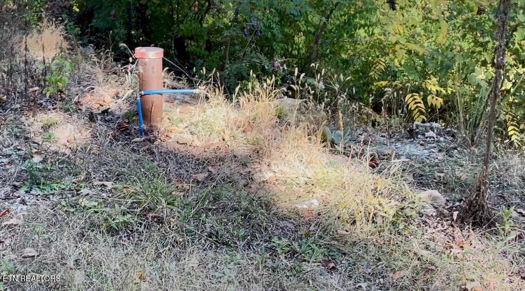 Photo of 1538 Mayflower Lane, Dandridge, TN 37725 (MLS # 1323842)