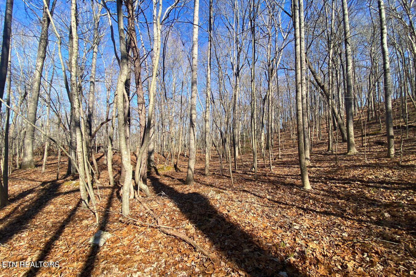 Lot 107 Hiwassee View Drive