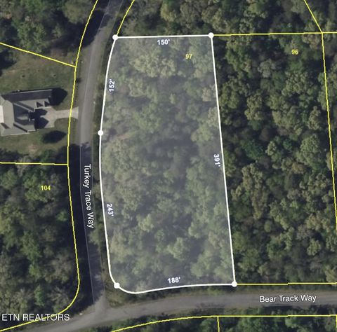 Tiny photo for Lot 97 Turkey Trace Way, Del Rio, TN 37727 (MLS # 1311436)