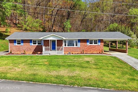 Photo of 215 Russell Drive, Rogersville, TN 37857 (MLS # 1335816)