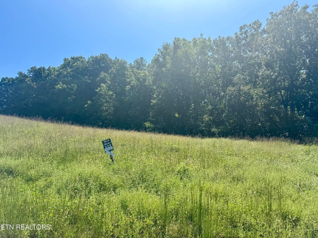 Photo of JADE Lane, New Tazewell, TN 37825 (MLS # 1275547)