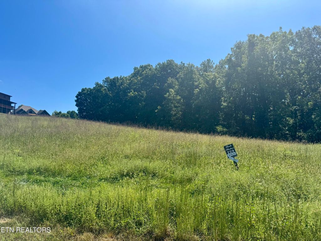 Photo of JADE Lane, New Tazewell, TN 37825 (MLS # 1275547)