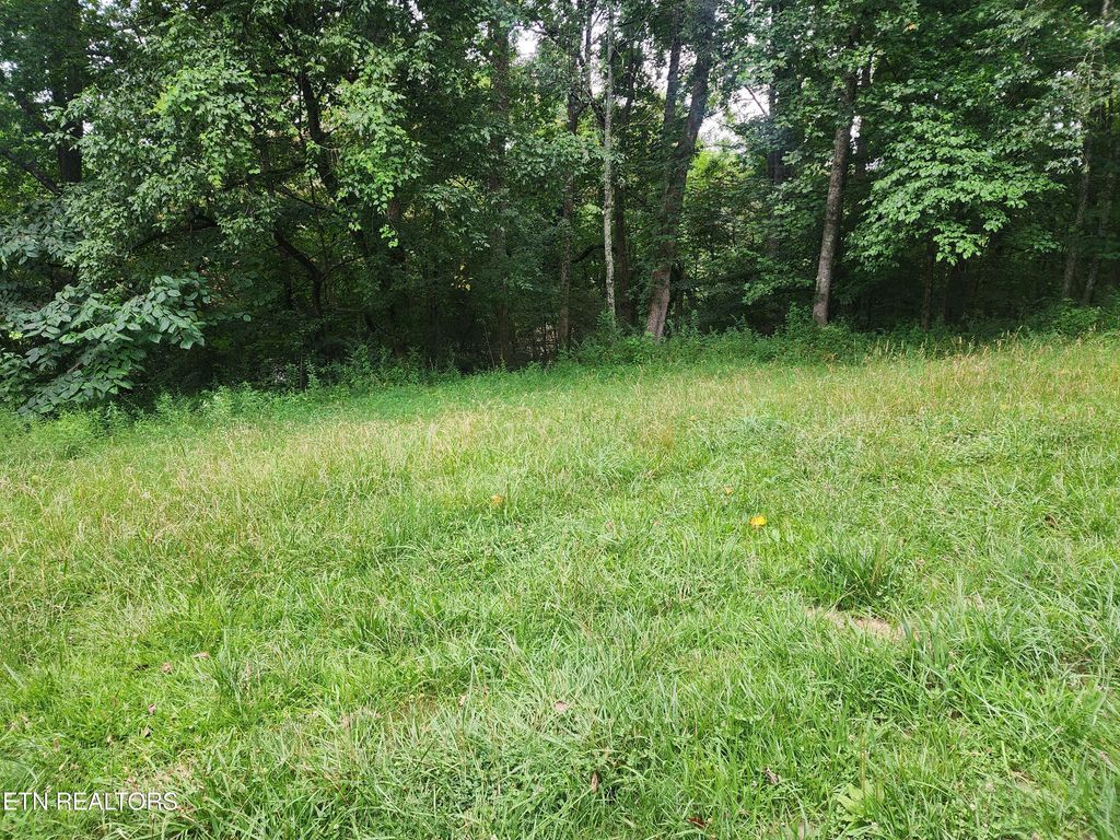 Photo of 3722 Harriman Hwy, Harriman, TN 37748 (MLS # 1306234)