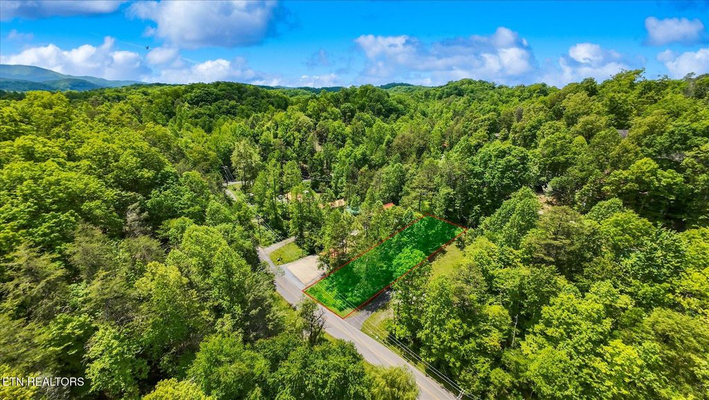 Photo of 16 Powder Mill Rd, Gatlinburg, TN 37738 (MLS # 1301866)
