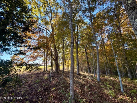 Tiny photo for Poke Patch Rd, Crossville, TN 38572 (MLS # 1359969)