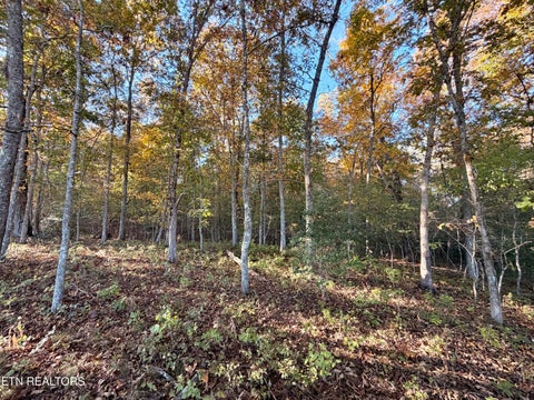Tiny photo for Poke Patch Rd, Crossville, TN 38572 (MLS # 1359969)