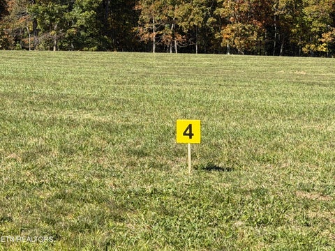 Tiny photo for Poke Patch Rd, Crossville, TN 38572 (MLS # 1359969)