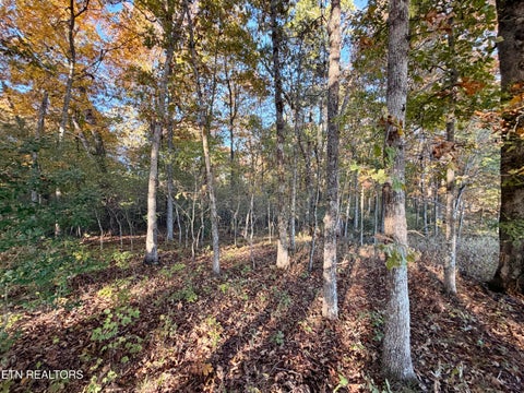 Tiny photo for Poke Patch Rd, Crossville, TN 38572 (MLS # 1359969)