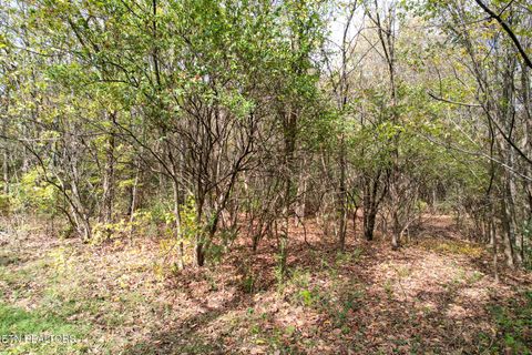 Tiny photo for TBD Morelock North / 25E Rd, Morristown, TN 37813 (MLS # 1323415)
