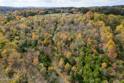 Tiny photo for TBD Morelock North / 25E Rd, Morristown, TN 37813 (MLS # 1323415)