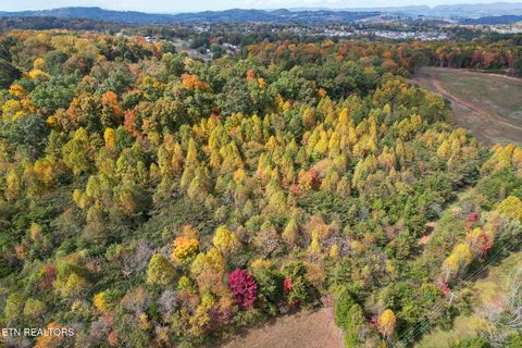 Tiny photo for TBD Morelock North / 25E Rd, Morristown, TN 37813 (MLS # 1323415)