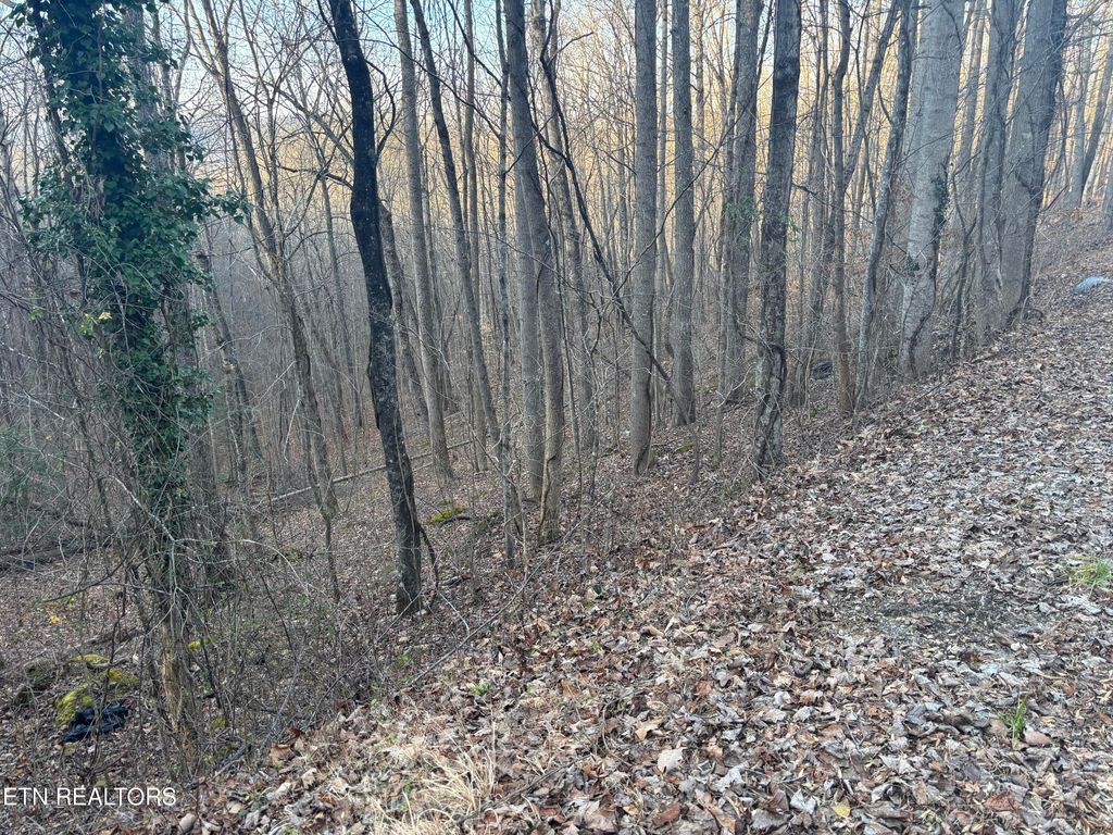 Photo of Kay Drive, LaFollette, TN 37766 (MLS # 1325447)