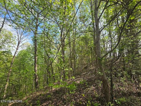 Tiny photo for 34 Crystal Springs Road, Rockwood, TN 37854 (MLS # 1320666)