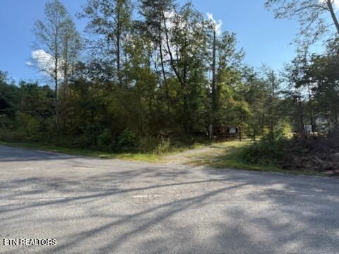 Tiny photo for Reid Watson Rd, Deer Lodge, TN 37726 (MLS # 1316766)