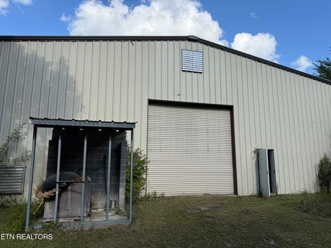 Tiny photo for Reid Watson Rd, Deer Lodge, TN 37726 (MLS # 1316766)